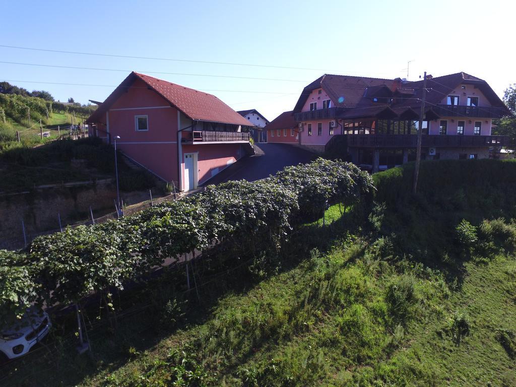 Guesthouse Kaucic Benedikt v Slovenskih Goricah Exterior foto