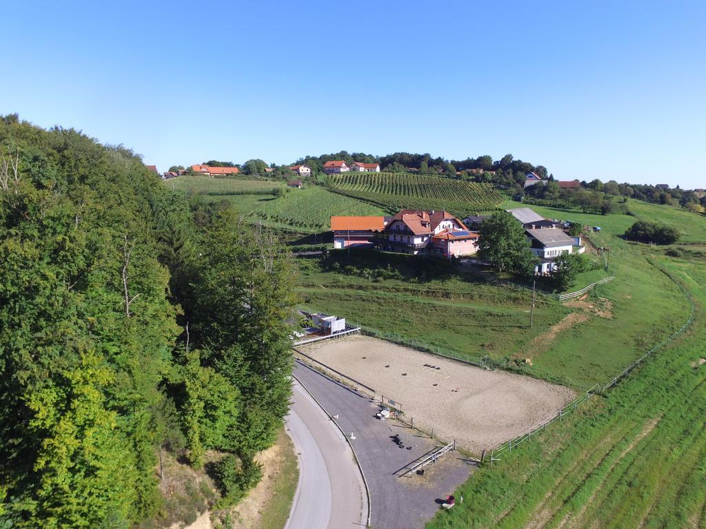 Guesthouse Kaucic Benedikt v Slovenskih Goricah Exterior foto