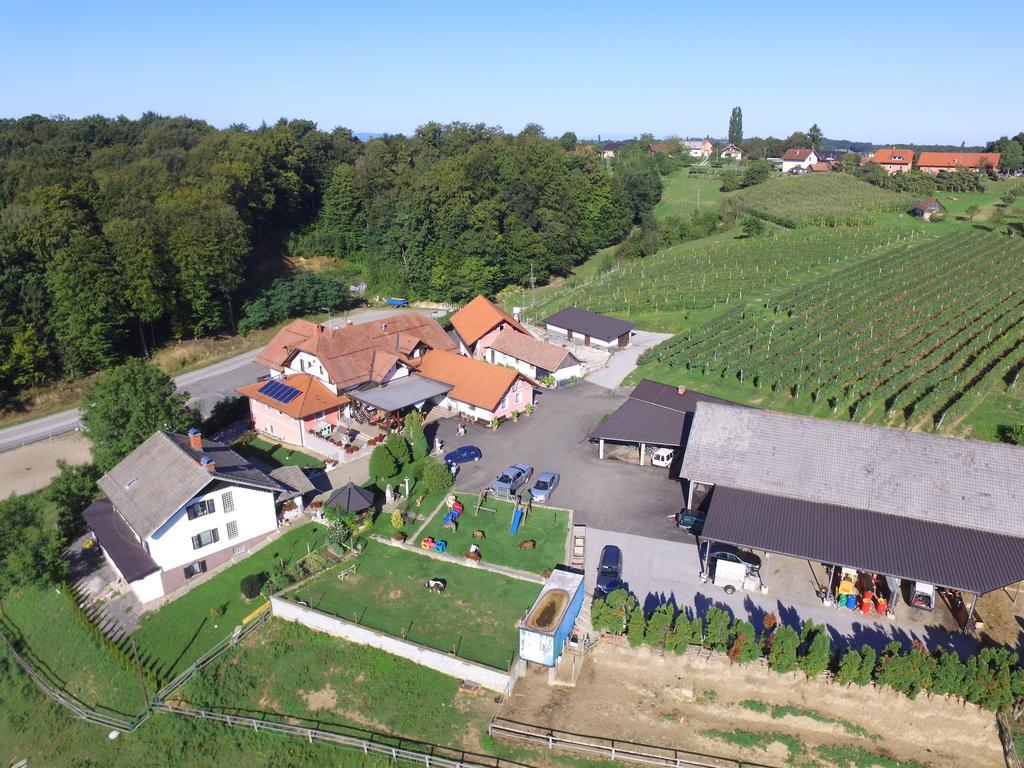 Guesthouse Kaucic Benedikt v Slovenskih Goricah Exterior foto